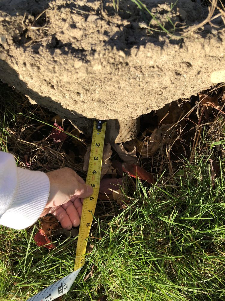 PLATINUM LANDSCAPE AND DESIGN Updated May 2024 Attleboro, Massachusetts Landscaping