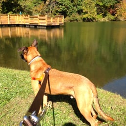 Chop at Azalea Rd Dog Park Chop at Azalea Rd Dog Park