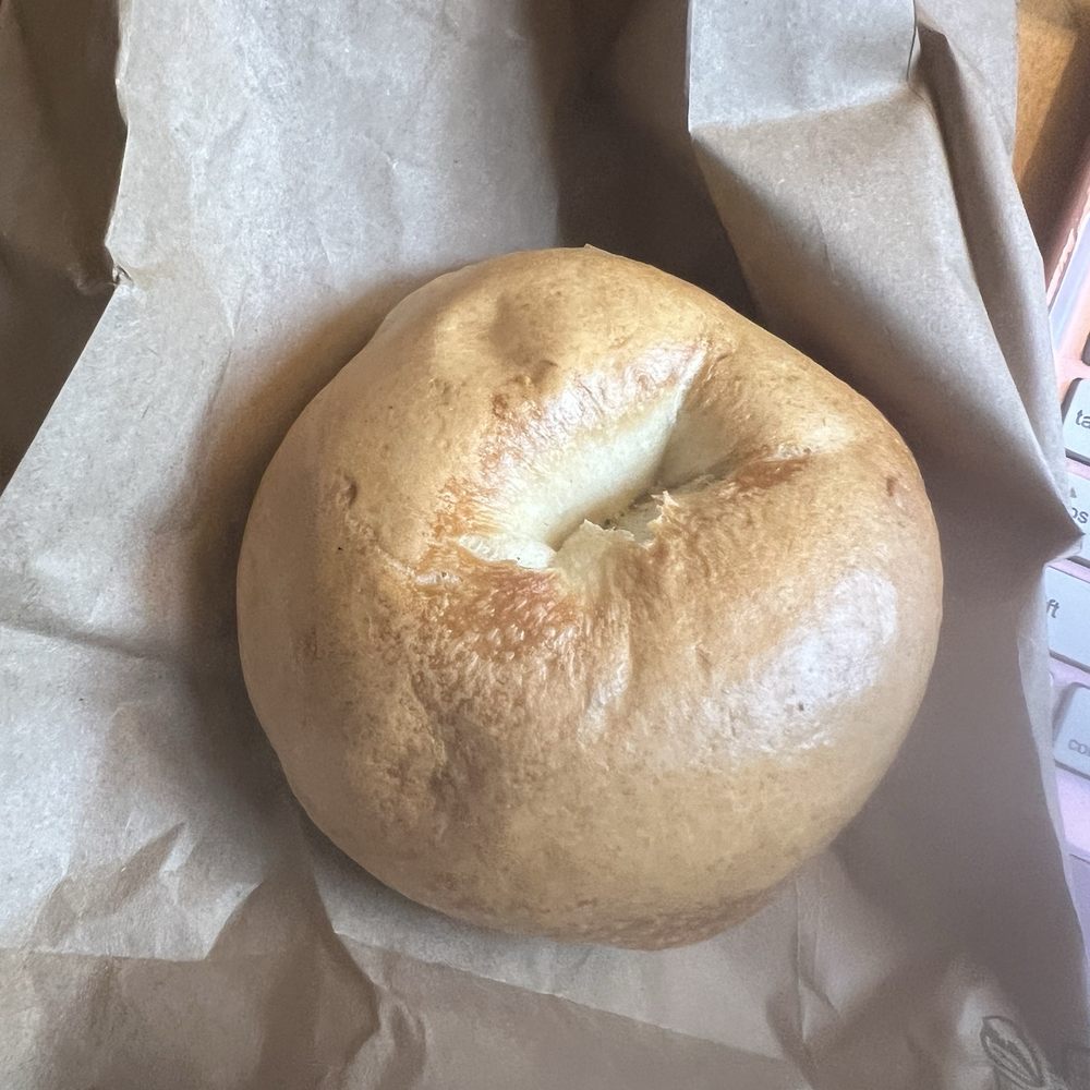 Plain Bagel Plain Bagel