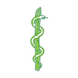 Brooklyn Nurse Practitioners