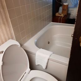 Jacuzzi suite from toilet to bed in one room