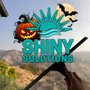 Shiny Solutions
