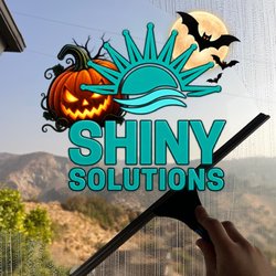 Shiny Solutions