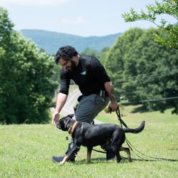 Coastal Elite K9 Training