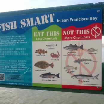Alvarez Ninth Street Park - Fishing warning! - Parks Near Me - Benicia, California Alvarez Ninth Street Park - Fishing warning! - Parks Near Me - Benicia, California