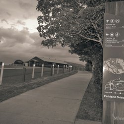 Obi Obi Boardwalk