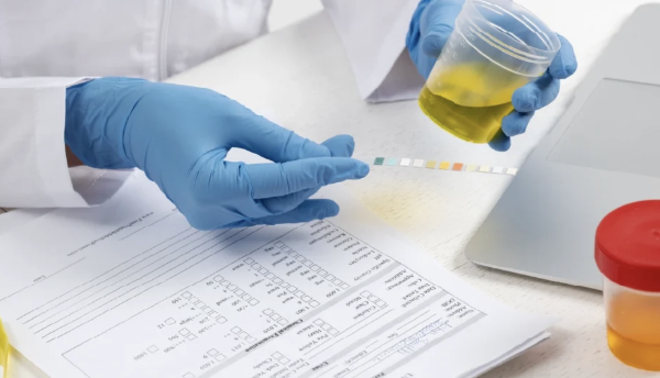 DOT/Non-DOT Drug Testing - Certified urine drug testing for DOT and Non-DOT. Accurate, confidential, compliant services for employers, courts, and individuals. We offer office visits, mobile and portable services. DOT/Non-DOT Drug Testing - Certified urine drug testing for DOT and Non-DOT. Accurate, confidential, compliant services for employers, courts, and individuals. We offer office visits, mobile and portable services.