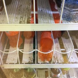 Family Dollar - Mold