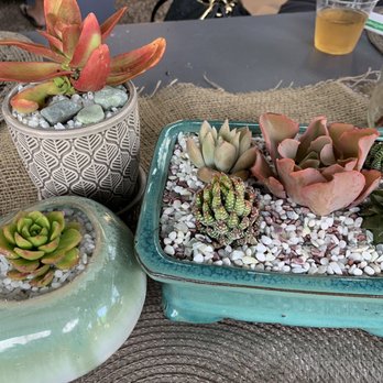 Mari's Gardens - My completed arrangements - Nurseries & Gardening Near Me - Mililani, Hawaii