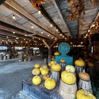 Gordon Skagit Farms - Fruits & Veggies Near Me - Mount Vernon, Washington Gordon Skagit Farms - Fruits & Veggies Near Me - Mount Vernon, Washington