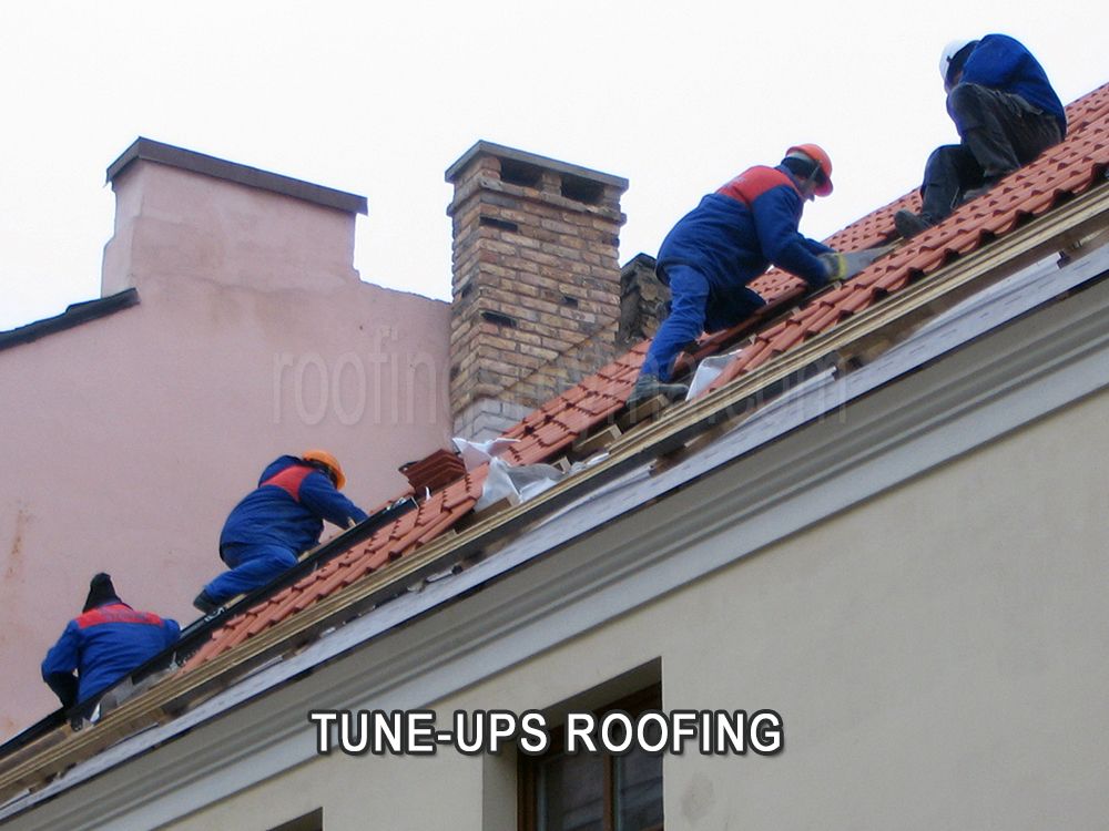 Slide of Ed's Roofing