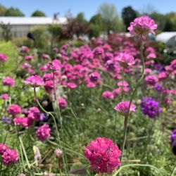 Preston Greenhouse & Garden Center