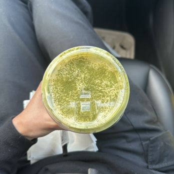 Phin Cafe - Egg Matcha - Coffee & Tea Near Me - Fremont, California Phin Cafe - Egg Matcha - Coffee & Tea Near Me - Fremont, California