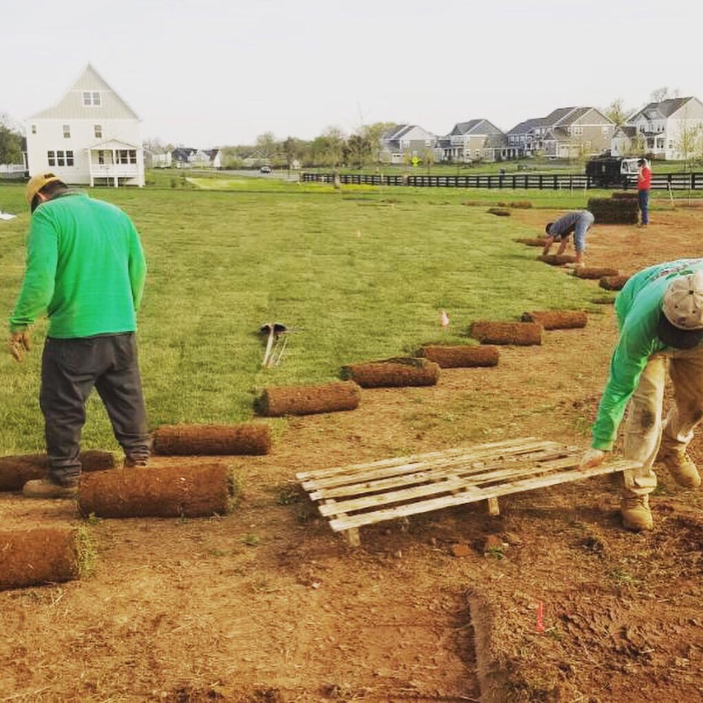 Slide of Green Landscaping