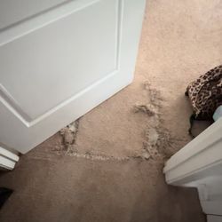 Cerlina Flooring Carpet Cleaning & Expert Repair - Before photo, ripped carpet.