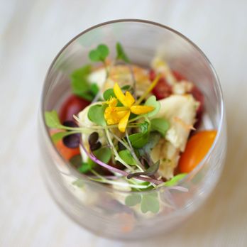 Clean Green Farms - Mixed Microgreens on Ceviche and Vegetable Salad - Fruits & Veggies Near Me - Miami, Florida Clean Green Farms - Mixed Microgreens on Ceviche and Vegetable Salad - Fruits & Veggies Near Me - Miami, Florida