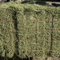 Western Stampede Feed & Seed