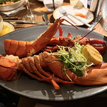 Saltine - LIVE MAINE LOBSTER - Seafood Near Me - Norfolk, Virginia Saltine - LIVE MAINE LOBSTER - Seafood Near Me - Norfolk, Virginia