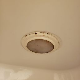 Shower Shower
