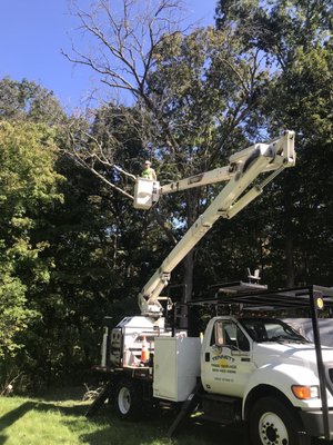 Tennett Tree Services Inc