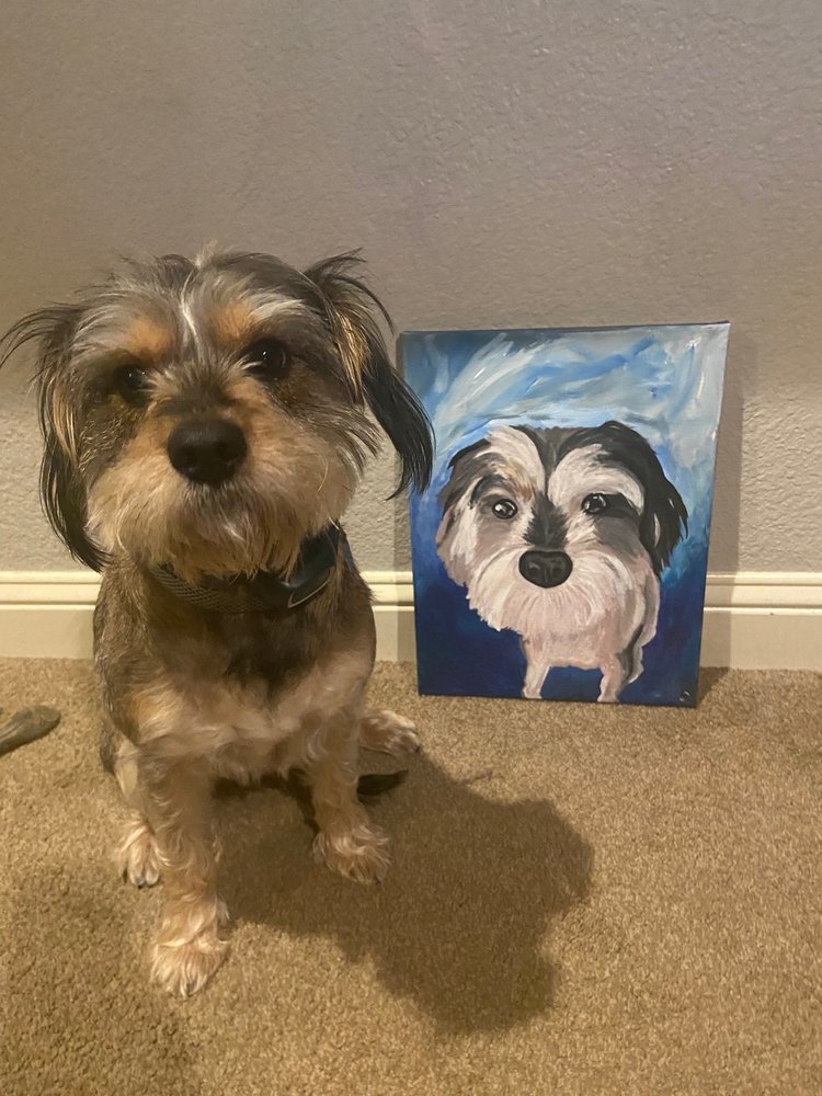 SUSAN’S PET GROOMING Updated August 2024 628 Hwy D, Osage Beach