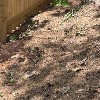 Grantlanta Lawn - Left yard a mess - Landscape Architects or Designers Near Me
