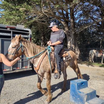 Horse N Around Trail Rides - Horseback Riding Near Me - Bodega, California