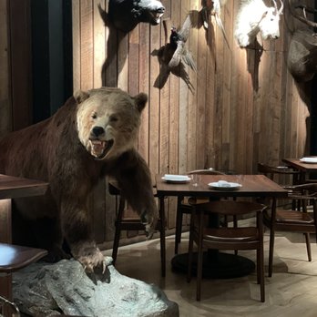 Angler - Taxidermy - Seafood Near Me - San Francisco, California