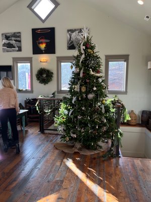 Ankida Ridge Vineyards by null