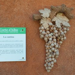 Corte D'Aibo