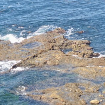 Bluff Cove - Beaches Near Me - Palos Verdes Estates, California