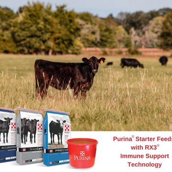 Livestock Specialists - Cattle Feed - Livestock Feed & Supply Near Me - Aberdeen, South Dakota Livestock Specialists - Cattle Feed - Livestock Feed & Supply Near Me - Aberdeen, South Dakota