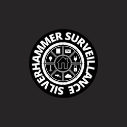 SilverHammer Surveillance - Protect What Matters Most