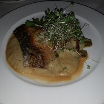 Olio E Limone Ristorante - Special of the night - Sea Bass - Italian Near Me - Santa Barbara, California Olio E Limone Ristorante - Special of the night - Sea Bass - Italian Near Me - Santa Barbara, California