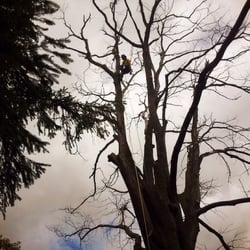 Harmony Tree Service