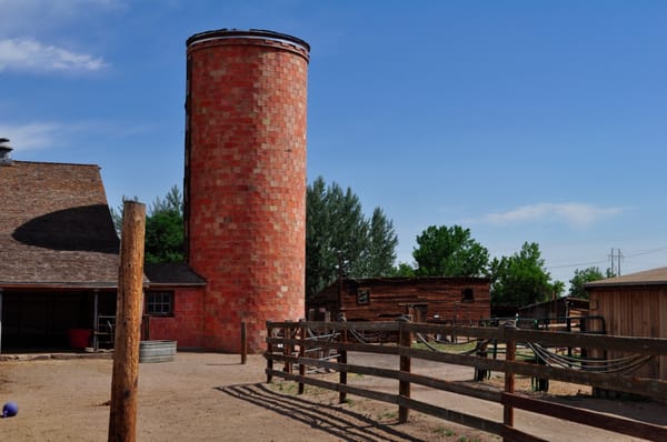 The Horse Protection League