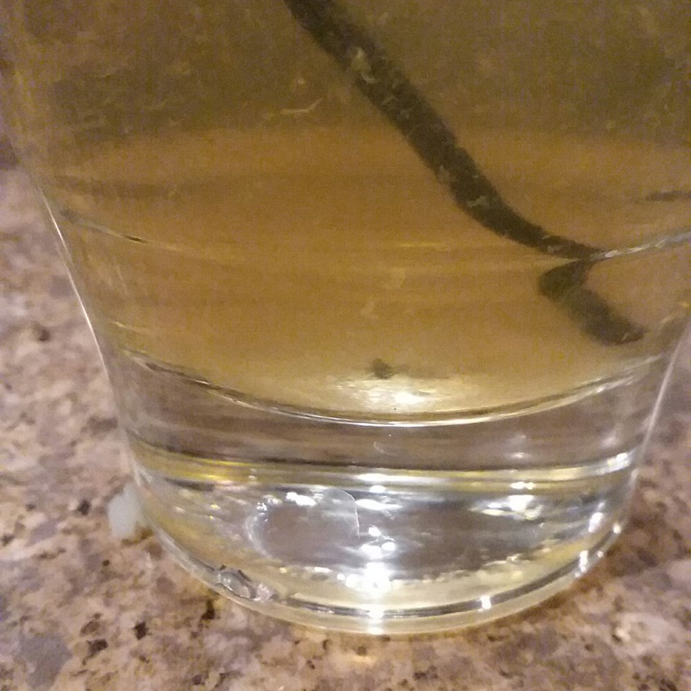 2510 Restaurant - I wasnt kidding about the fly in my drink - American Near Me - Wausau, Wisconsin 2510 Restaurant - I wasnt kidding about the fly in my drink - American Near Me - Wausau, Wisconsin