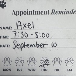 Madison Animal Clinic - Appointment Reminder Card