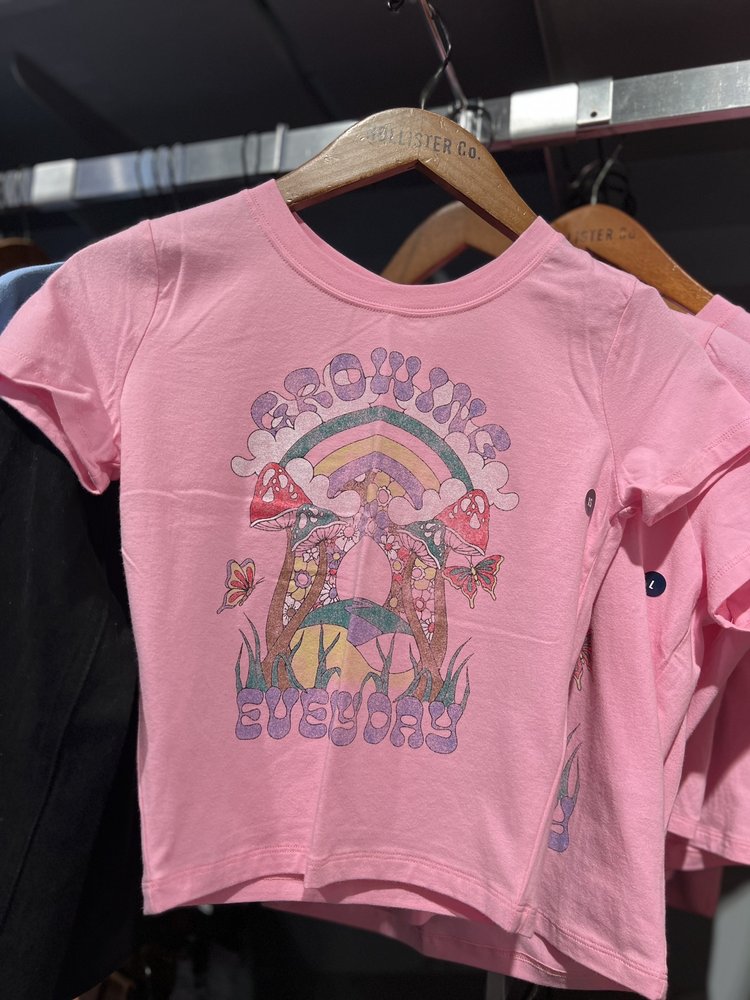 Hollister Logo