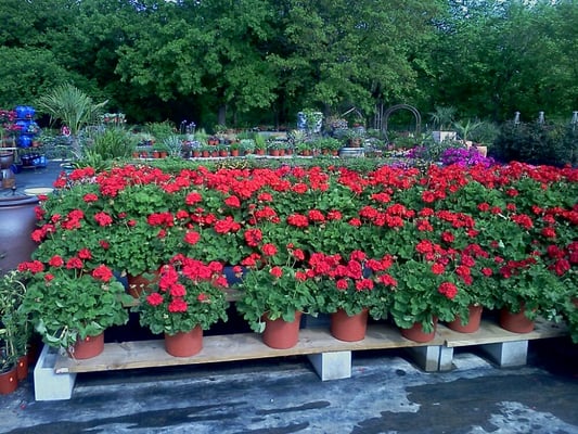 North Richland Hills Farmers Market by null