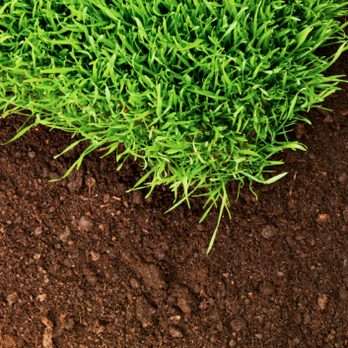 JWM Landscaping - Count on us for exceptional mulch laying services
*Allow for better water and air movement throughout the soil
Call : 609-339-4824 - Lawn Services Near Me JWM Landscaping - Count on us for exceptional mulch laying services
*Allow for better water and air movement throughout the soil
Call : 609-339-4824 - Lawn Services Near Me