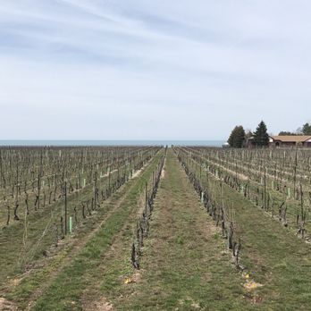 Grape Escape Wine Tours - Wine Tours Near Me - Niagara-on-the-Lake, Ontario Grape Escape Wine Tours - Wine Tours Near Me - Niagara-on-the-Lake, Ontario
