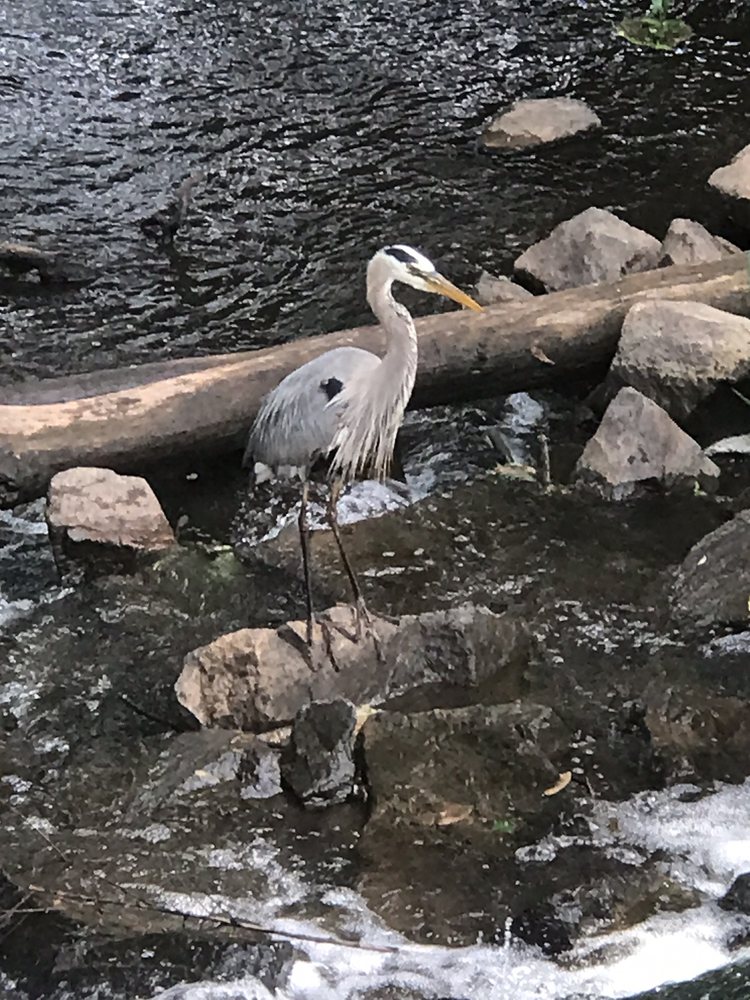 BASILONE PARK Updated July 2024 Woodmere St, Raritan, New Jersey