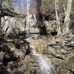 Big Soddy Creek Gulf
