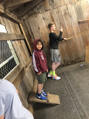 Cosmos Mystery Area by null