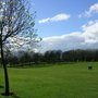 Photo of Buile Hill Park