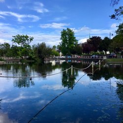 Honeywood Tea Room - The view over Carshalton Ponds from the Tea Room - yes, it's that good.