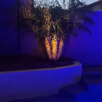 Moon Valley Nurseries - Nurseries & Gardening Near Me - Phoenix, Arizona