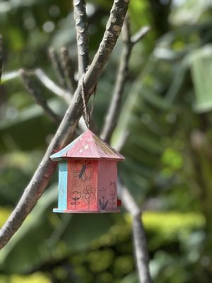 Honolulu Zoo by null