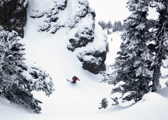 Pacific Alpine Guides